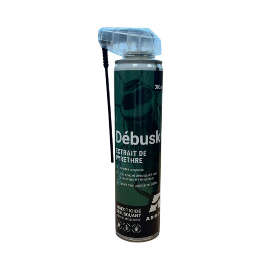 INSECTICIDE FOUDROYANT ET DEBUSQUANT